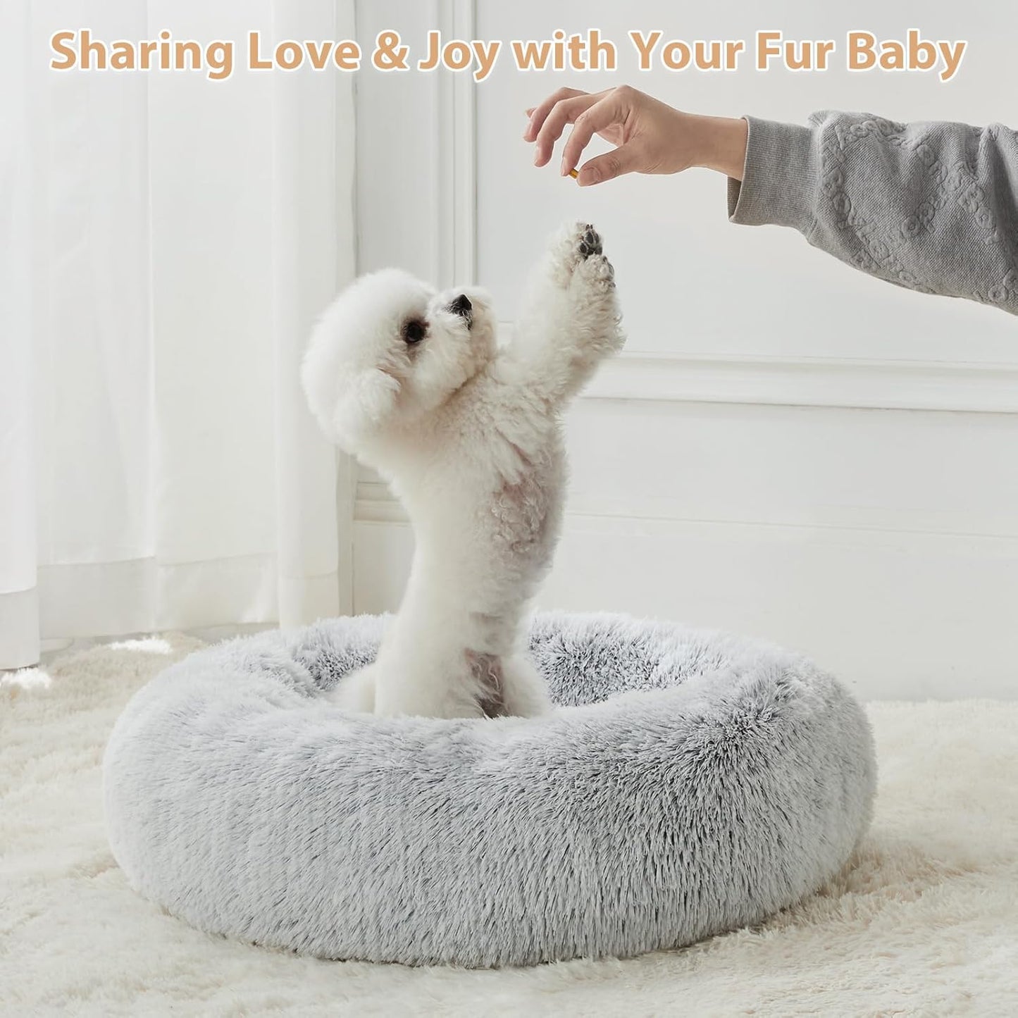 Small round Calming Dog Bed Cat Bed for Comfy Sleep